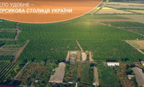 На Одещині кооператив вирощує найкращі персики