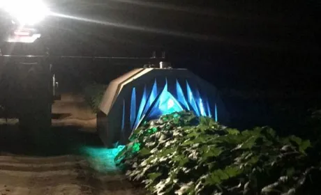 Ультрафіолетове випромінювання успішно використовують для фунгіцидного захисту сільгоспкультур