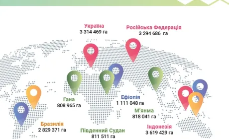 Україна друга у світі за площею земель, контрольованих іноземними інвесторами
