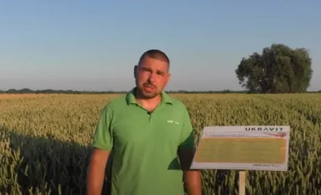 «UKRAVIT» провів День поля в онлайн-форматі