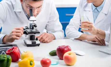Досліджуємо плодоовочеву продукцію в лабораторних умовах