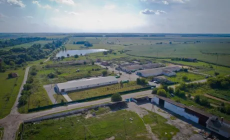 Господарський суд Києва став на захист російських власників «Української ягоди»