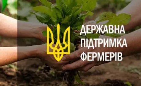 Укрдержфонд пропонує фермерам фінансову підтримку