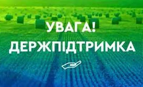 Укрдержфонд оголосив конкурс для фермерів