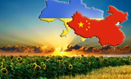 Україна не змогла отримати дивідендів від американо-китайської торгової війни