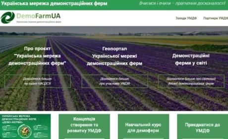 Демоферми: побачити — значить повірити