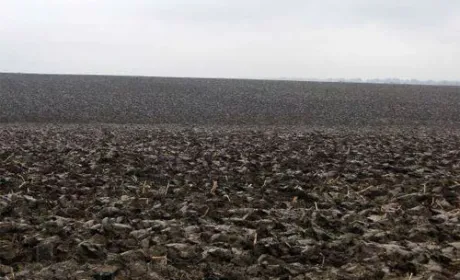 МХП зацікавлений у купівлі землі в Україні