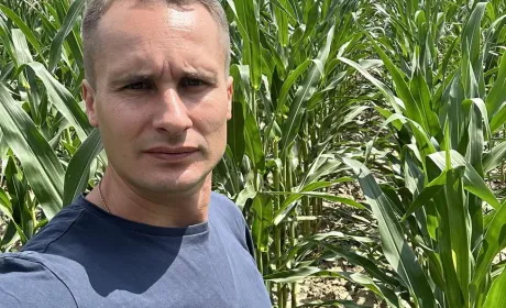 Посівна кукурудзи під загрозою, або Як посуха впливає на якість насіння кукурудзи
