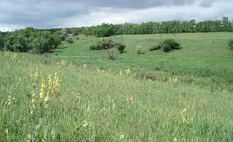 Землі природно-заповідного фонду в приватну власність передавати не можна