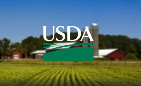 Ситуація на світовому ринку добрив критична, — USDA