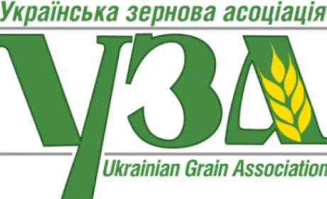 Блокування ДПС податкових накладних загрожує збору врожаю зерна, — УЗА
