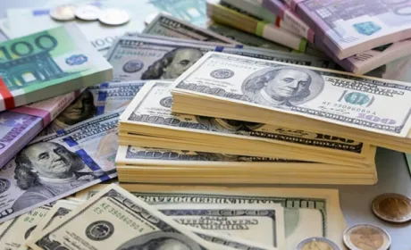 Бізнес скоротив капітальні інвестиції у сільське господарство