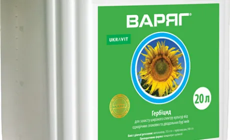 Турбота розпочинається до сходів: Гербіцидне рішення для кукурудзи, соняшника і сорго