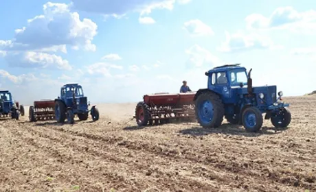 Розпочато сівбу кукурудзи на зерно