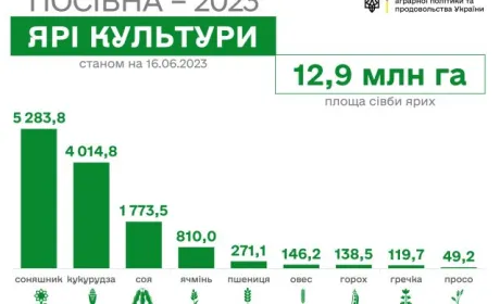 В Україні засіяли майже 13 млн гектарів
