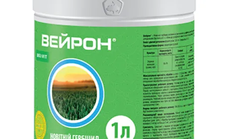 Захист озимих зернових від зимуючих бур’янів