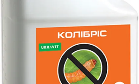 Інноваційний захист саду від шкідників: «UKRAVIT» виводить на ринок новий інсектицид
