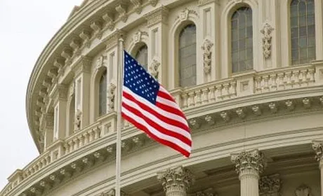 Вибори в США вплинули на світовий ринок зернових та олійних
