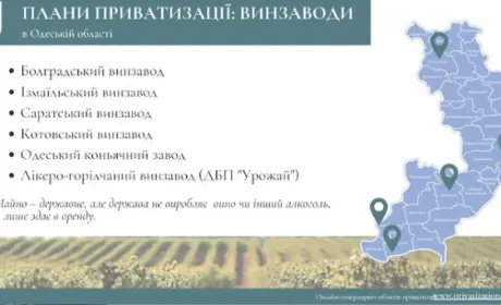 ФДМУ продасть шість винзаводів на Одещині