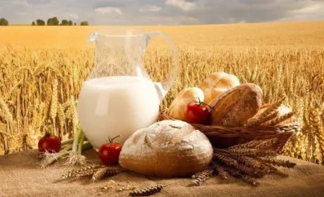 Україна через 10 років зможе виробляти 200 млн т агропродукції, – Тарас Висоцький