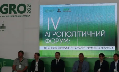 У власності юросіб опинилося 1 млн га земель, виділених під ОСГ, — міністр агрополітики