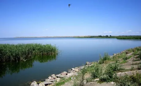 Законопроєкт щодо порядку оренди водних об'єктів у комплексі з земельними ділянками ухвалили в другому читанні
