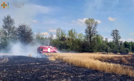На Хмельниччині вогнеборці врятували 65 га пшениці