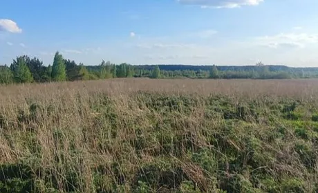На Волині фермер не сплачував орендну плату за землю з 2017 року