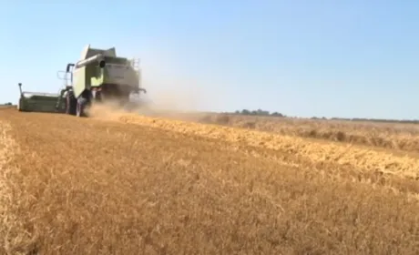 На Волині стартували жнива. Врожайність озимого ячменю 70 ц/га