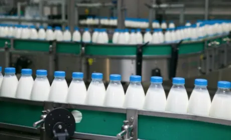 Українські виробники молочних продуктів закликають президента встановити для галузі пільговий тариф на газ