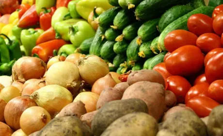 Україна посіла 16 місце серед ТОП-20 напрямків експорту агропродукції з ЄС