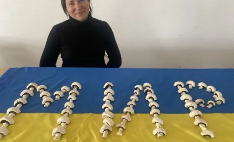 «Яблунівські печериці» щомісяця безкоштовно передають 200 кг грибів на потреби ЗСУ
