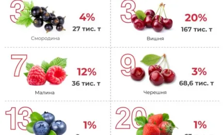 Яке місце займає Україна на ягідному ринку світу