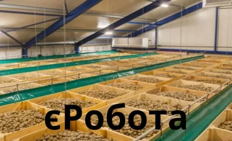 В НБУ створили спеціальний рахунок для фінансування програми єРобота