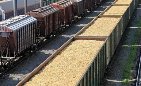 Аграрії вимагають відновити знижку на залізничні перевезення агропродукції з прифронтових регіонів