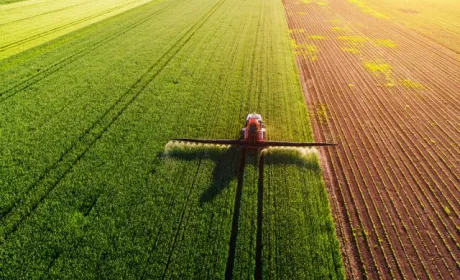 Цьогоріч аграрії значно скоротили обсяги застосування засобів захисту рослин
