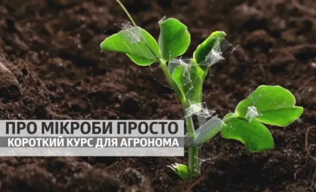 Про мікроби просто. Короткий курс для агрономів