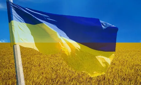 Україна експортувала 47.7 млн тон зерна