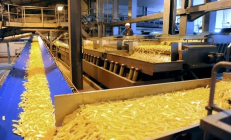 Potato Agro запустить в Україні завод із виробництва картоплі фрі