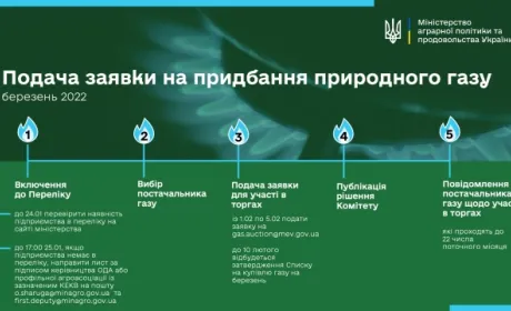 Оприлюднено алгоритм дій для подачі заявки на придбання «пільгового» природного газу на березень