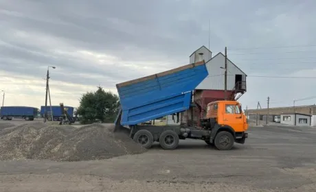 На Донеччині розпочали збирати соняшник