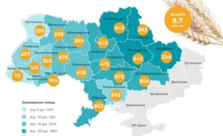 Наступного року валовий збір зерна може скоротитись на 37%