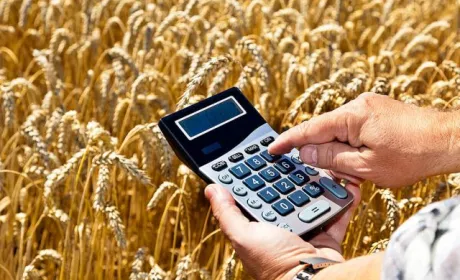 В 2023 році збитки аграріїв сягнуть $5-6 млрд, не рахуючи втрат від війни