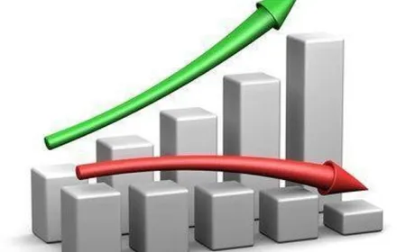 Виручка зросла, збитки теж – реалії українського агробізнесу