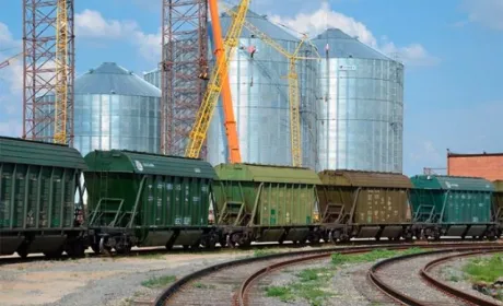 ЄС готовий надати «зелені коридори» для українського агроекспорту