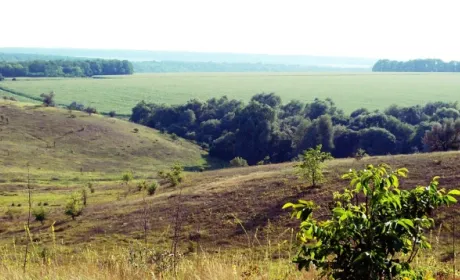Нардепи пропонують скасувати перевірку правонабувачів невеликих ділянок