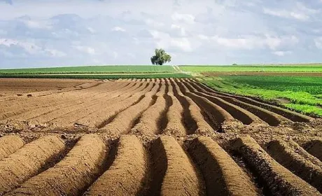 Аграрії закликають підписати петицію, щоб врятувати село