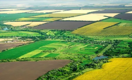 На земельних аукціонах переважають сільськогосподарські землі, –  Сергій Бут