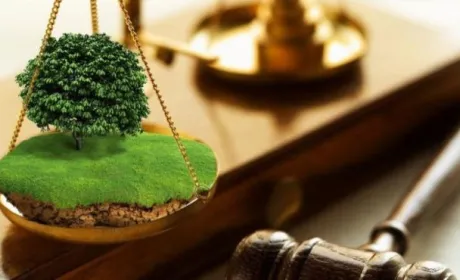 70 млн грн доходу принесли організаторам земельні аукціони за час воєнного стану