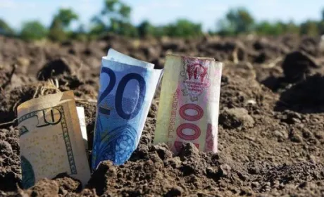В Україні змінять правила купівлі землі: кому загрожує конфіскація